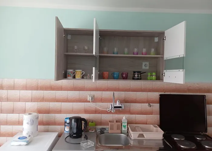 Miki Jovanovic Проживание в семье Пирот