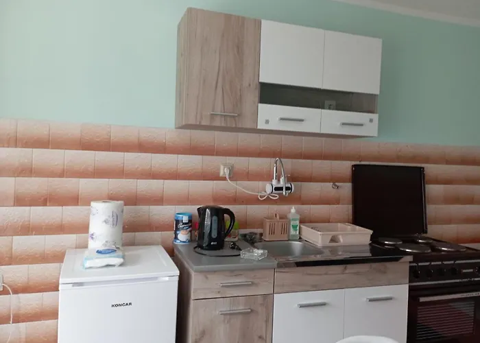 Miki Jovanovic Проживание в семье *