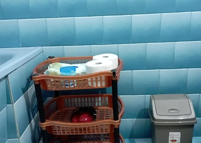 Miki Jovanovic * Пирот