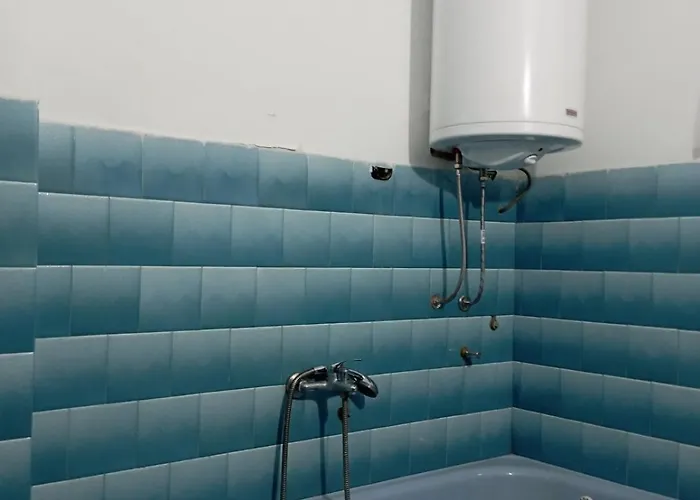 Miki Jovanovic Проживание в семье *