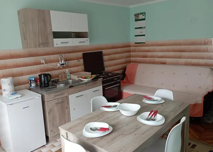 Проживание в семье Miki Jovanovic *