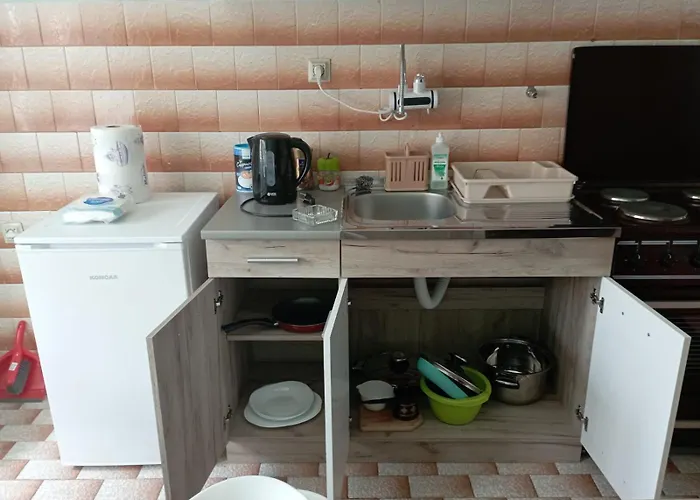 Проживание в семье Miki Jovanovic Пирот