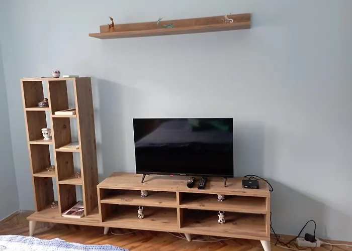 Miki Jovanovic Проживание в семье Пирот