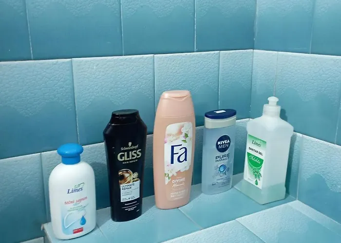 Проживание в семье Miki Jovanovic *