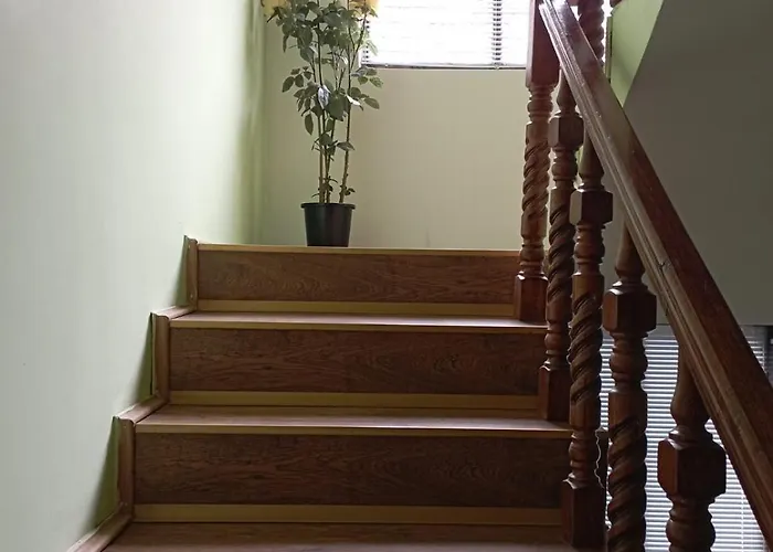 Miki Jovanovic Проживание в семье