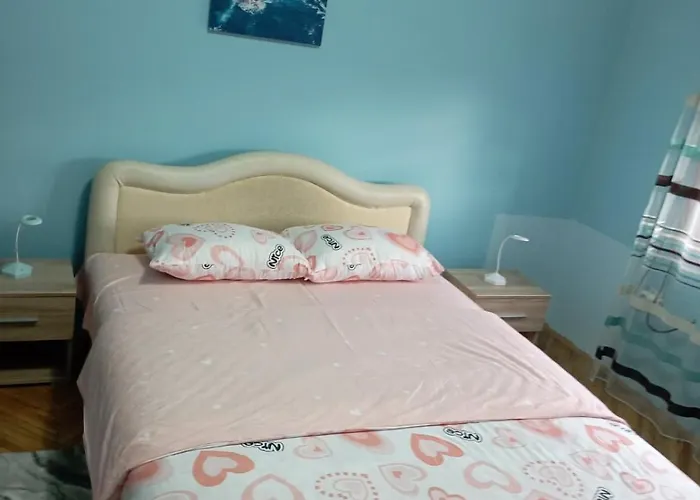 Проживание в семье Miki Jovanovic Пирот